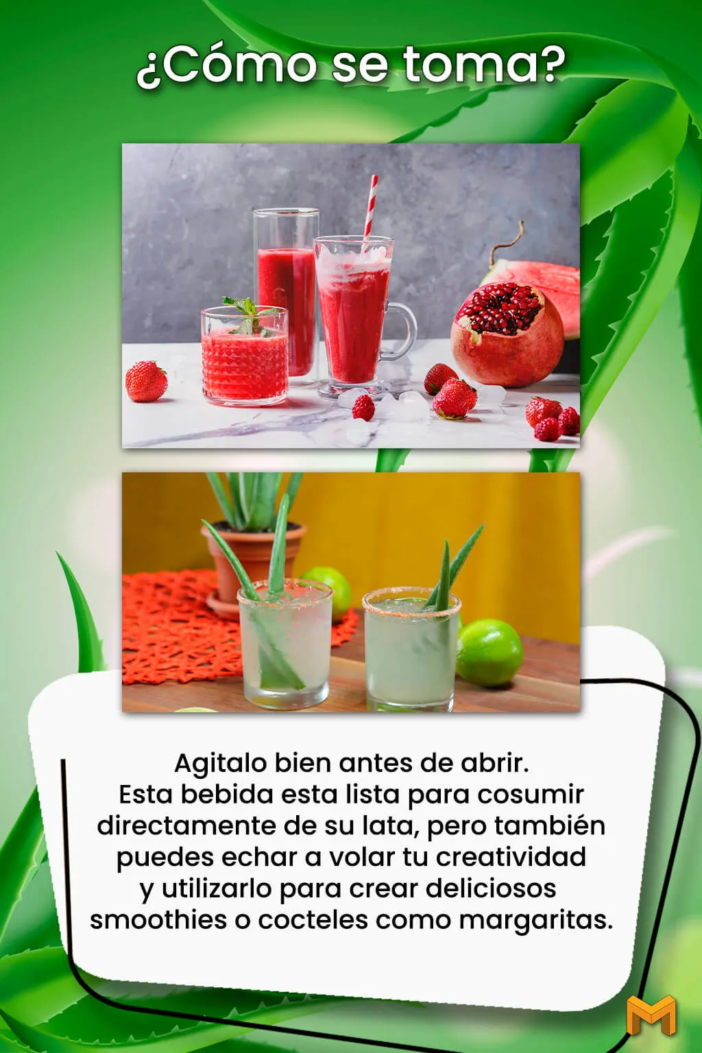 Descripción Aloe Vera Mango 240ml 2